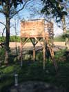 Spielturm, Lärche